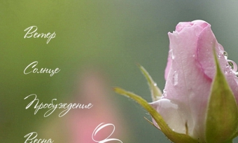 ПОЗДРАВЛЯЕМ С ДНЁМ 8 МАРТА!!