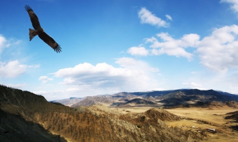 Из педагога в рекрутеры, или Путь через терни к рекрутингу